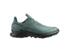 SALOMON SHOES ALPHACROSS 5 GTX NOAT/BLACK/S L47595000 (NORTH ATLANTIC/) UOMO