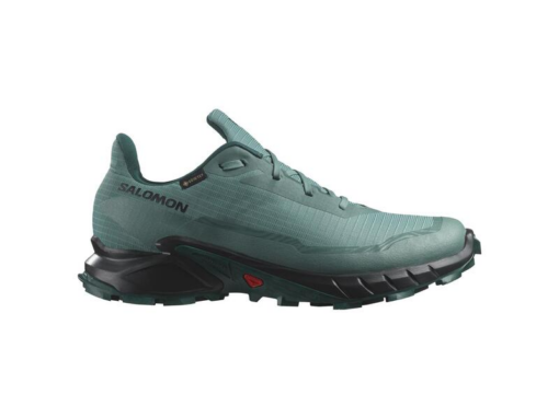SALOMON SHOES ALPHACROSS 5 GTX NOAT/BLACK/S L47595000 (NORTH ATLANTIC/) UOMO