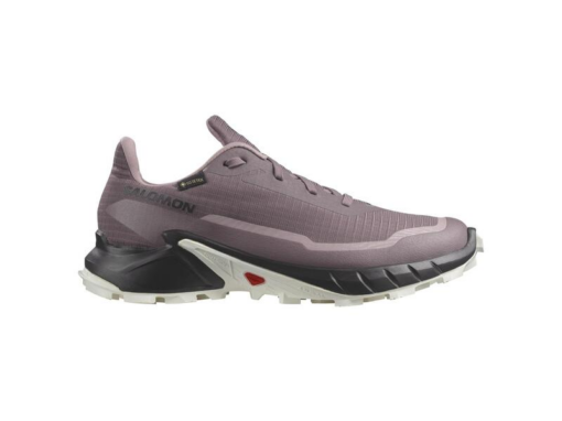 SALOMON SHOES ALPHACROSS 5 GTX W MNSCAP/BLA L47311000 (MOONSCAPE/BLACK) DONNA
