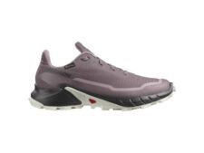 SALOMON SHOES ALPHACROSS 5 GTX W MNSCAP/BLA L47311000 (MOONSCAPE/BLACK) DONNA